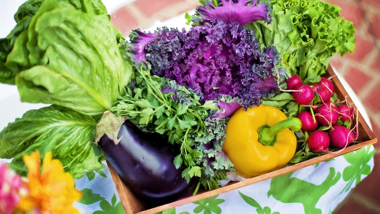 Frutas e hortaliças organizadas para manter o frescor