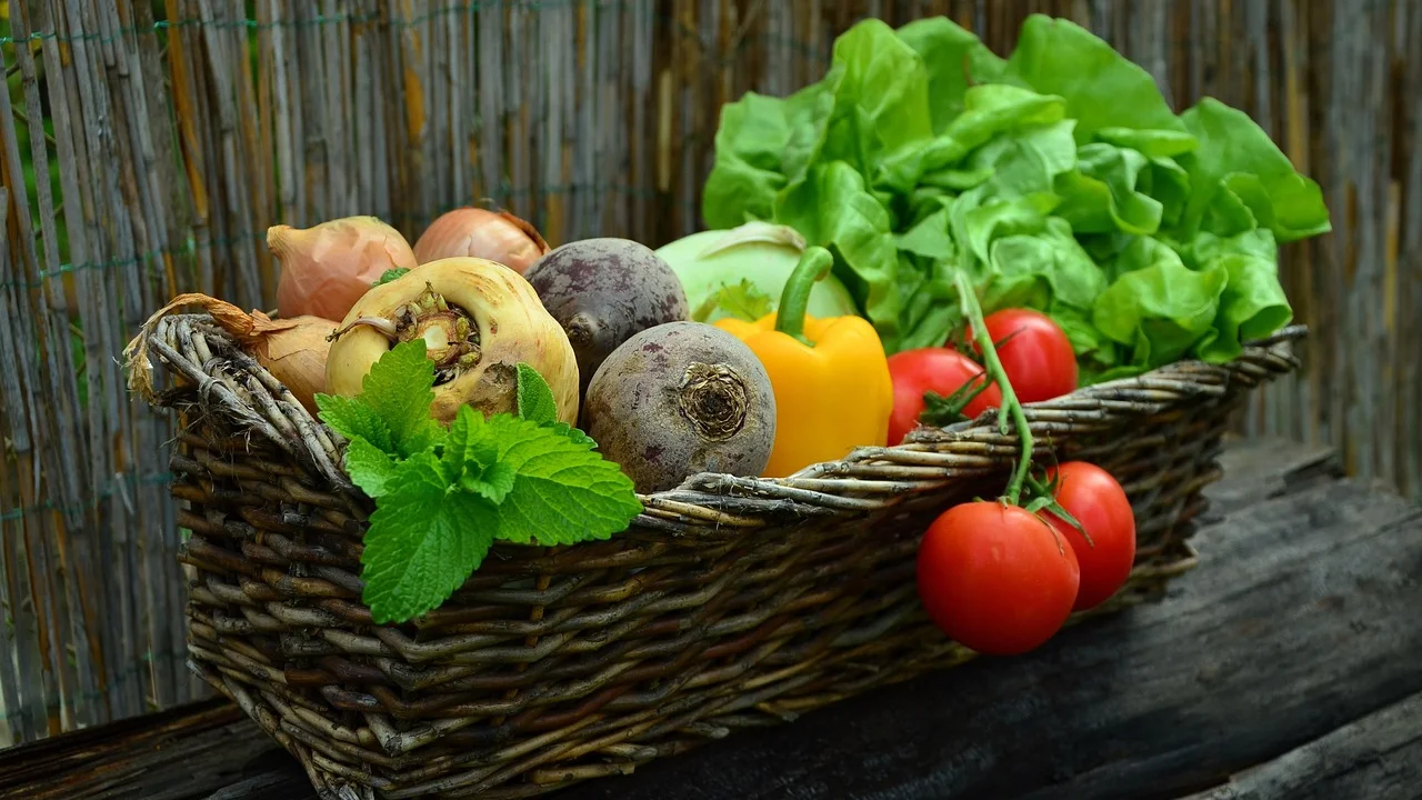 Recipientes fechados ajudam a proteger alimentos preparados