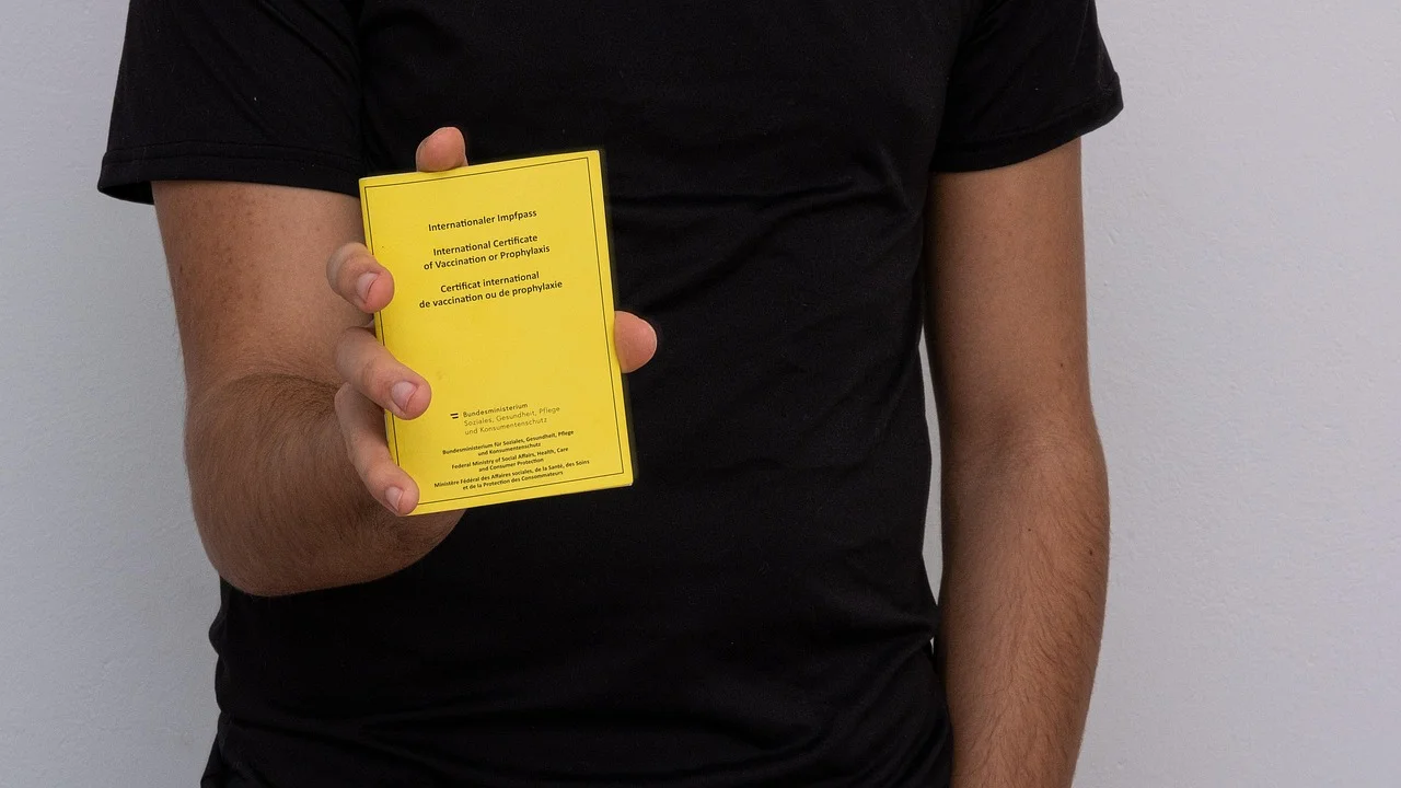 Pessoa consulta o histórico de vacinação no celular