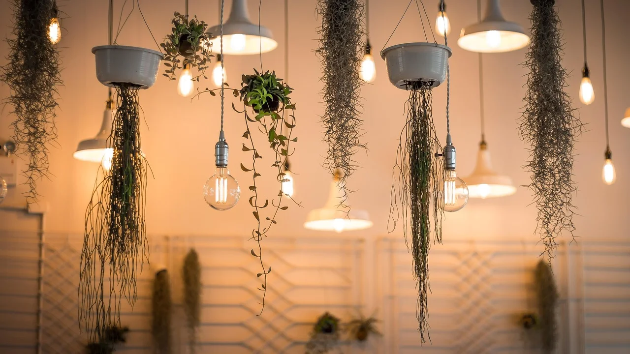 Folhagens em diferentes tamanhos decorando uma sala