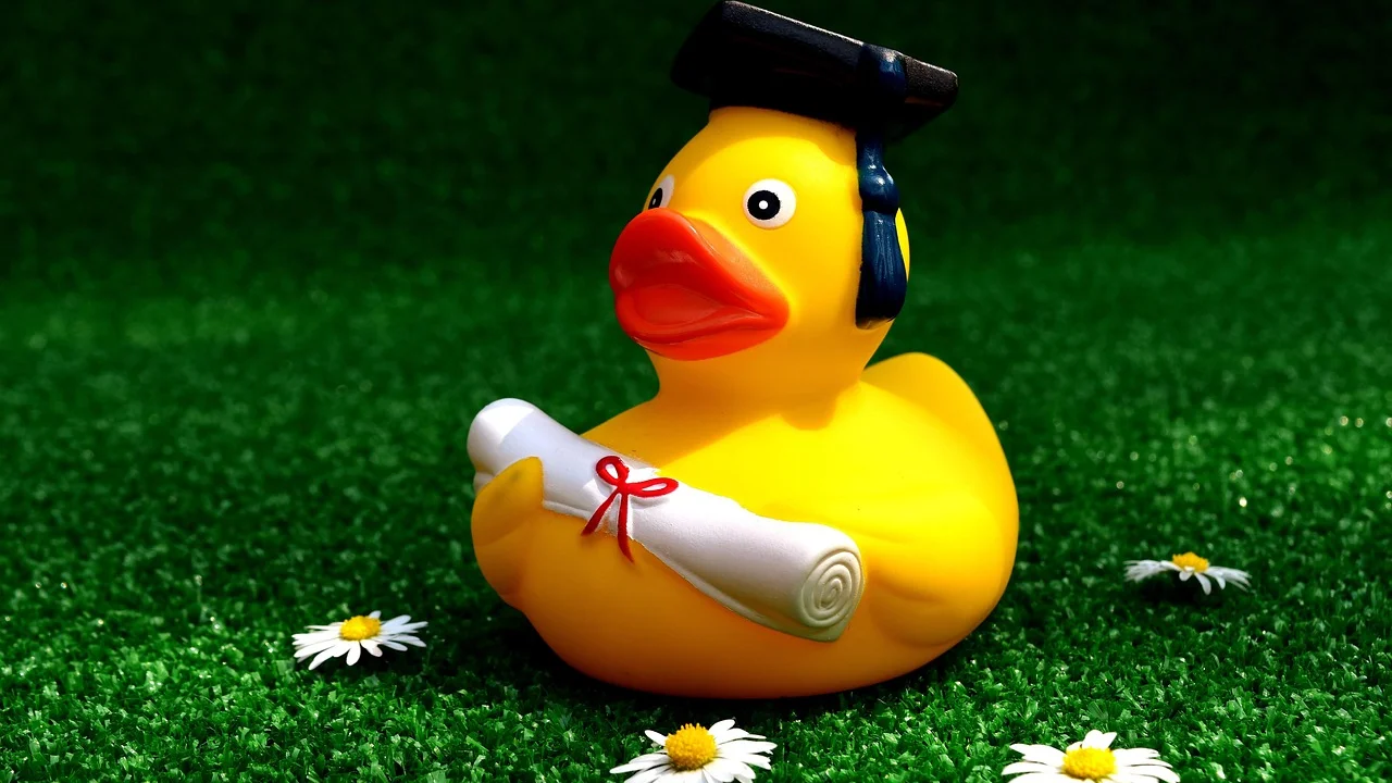 Estudante revisa boletim e documentos antes do pedido.