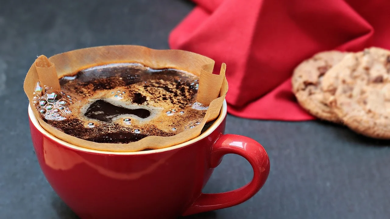 Café moído sendo colocado em filtro de papel limpo