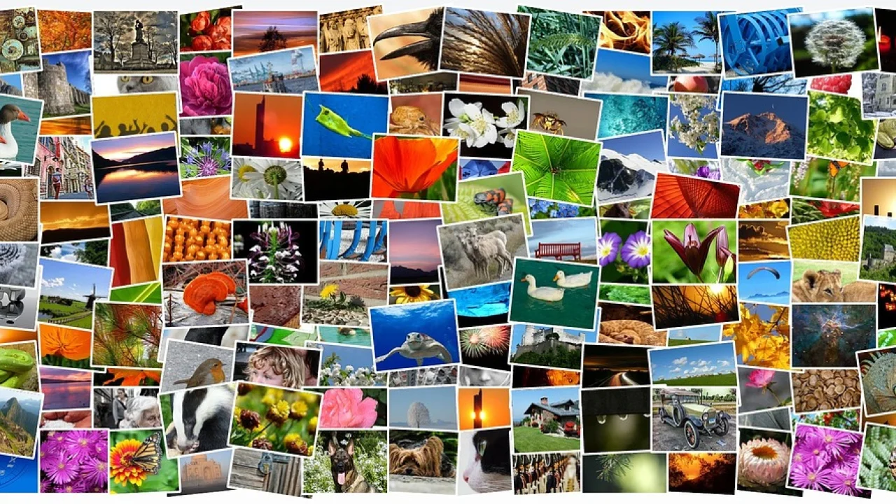 Grade de imagens organizada em formato vertical para redes sociais