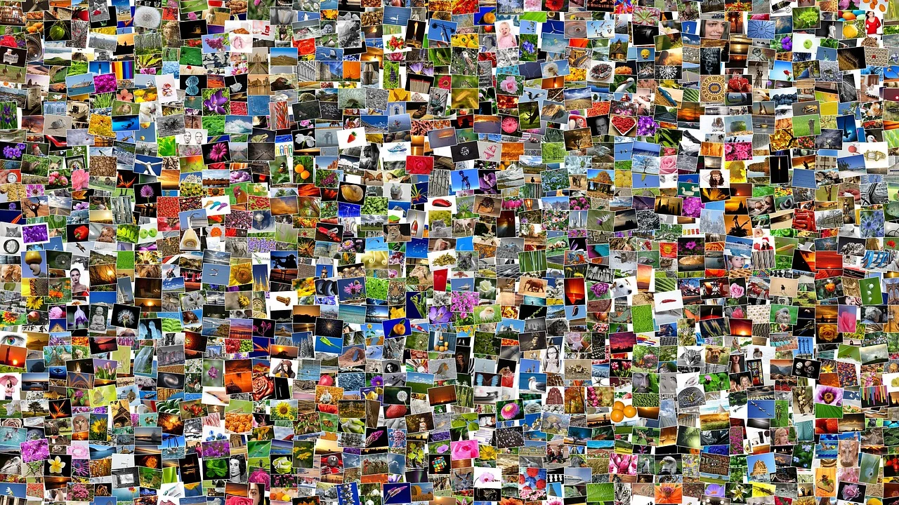 Exemplo de composição com margens regulares entre fotografias