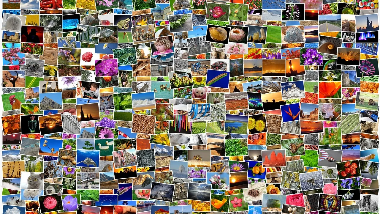 Tela de edição com imagens selecionadas para um Story