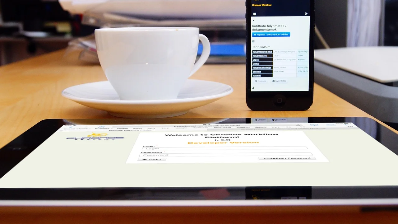 Pessoa acessando serviços fiscais em um notebook com segurança.