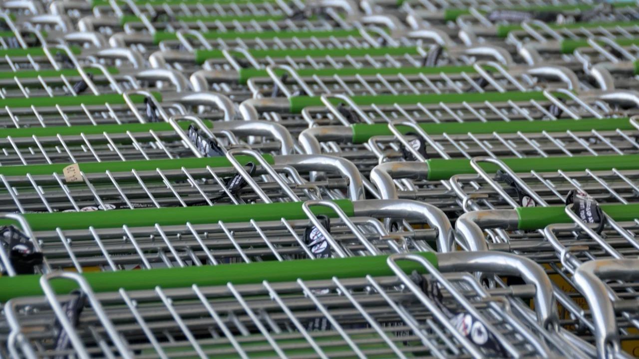 Despensa doméstica com alimentos separados por categorias.