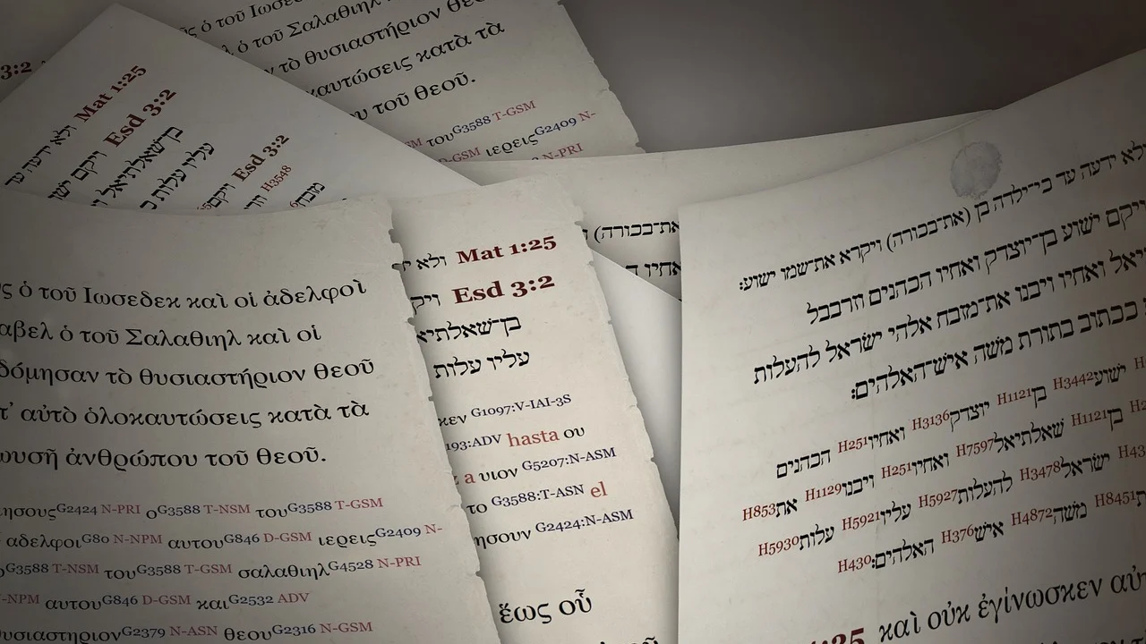 Apresentação com caixas de texto ajustadas em diferentes idiomas
