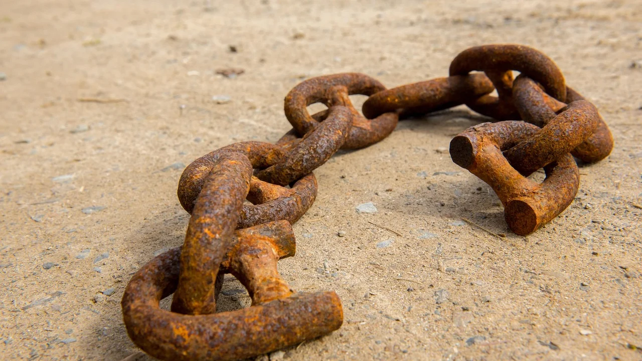 Página de erro com opções para continuar a navegação