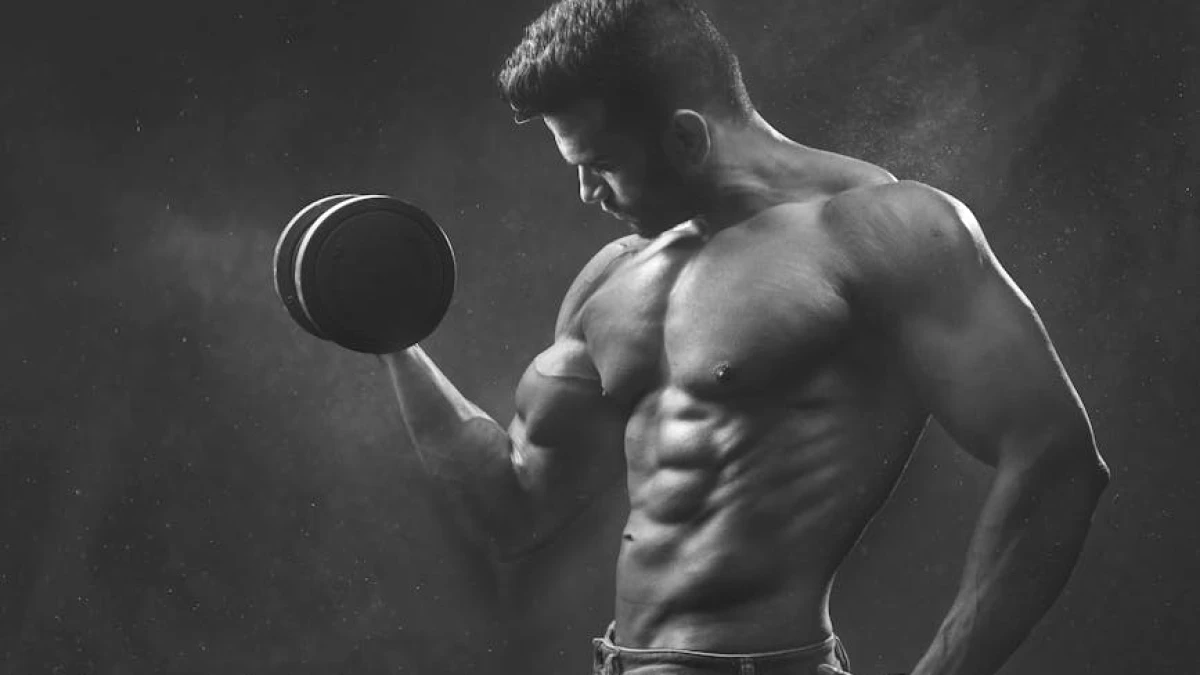 creatina-bodybuilders-e-boa - Image 4
