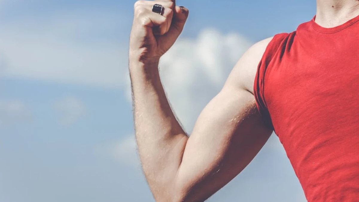 Exercícios de Pulley Frente: Guia Completo para Treino