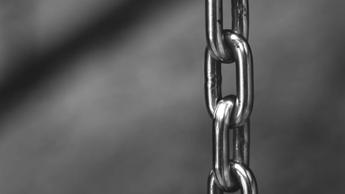 exercicios-de-pulley-frente - Image 2