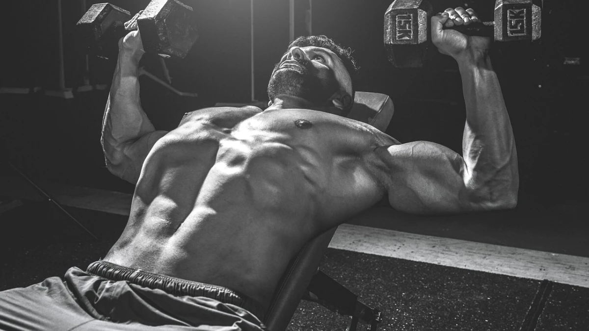 exercicios-para-biceps - Image 3