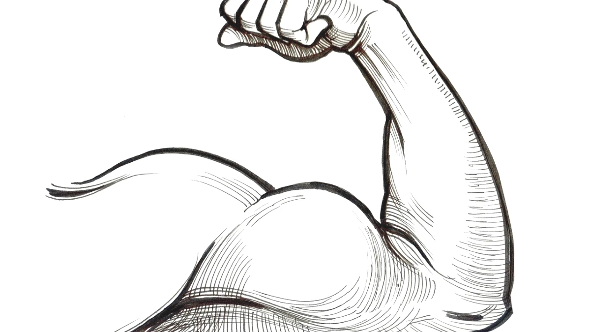 exercicios-para-biceps - Image 4