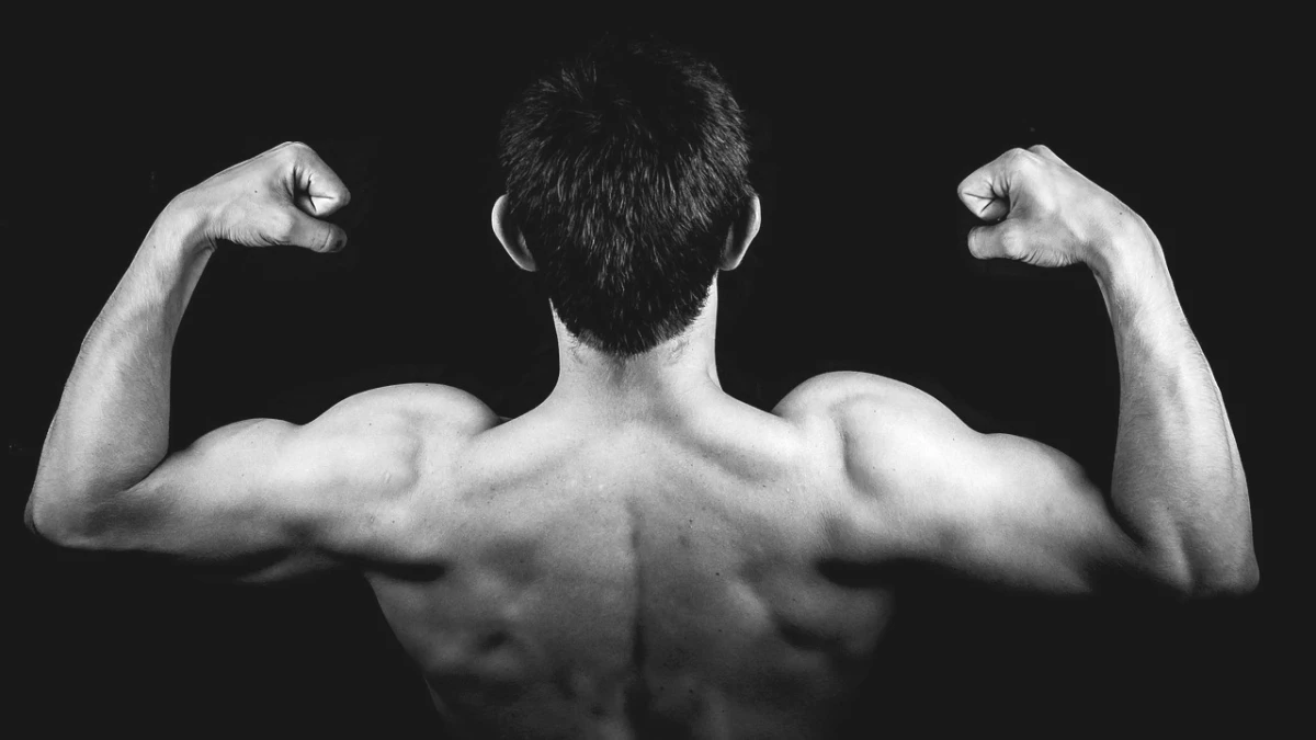 exercicios-para-triceps - Image 4