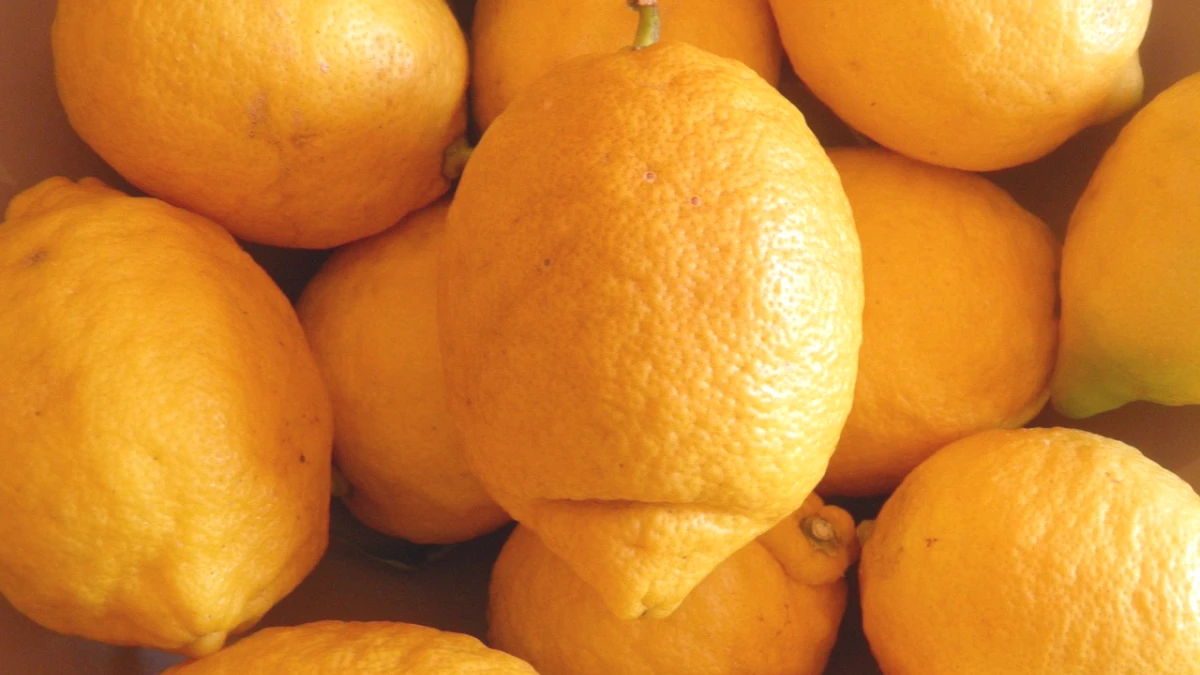 frutas-que-contem-omega-3 - Image 4