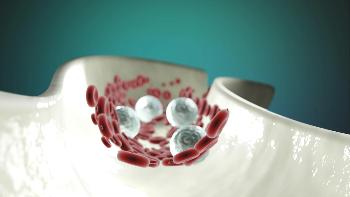 omega-3-faz-mal-para-o-figado - Image 3
