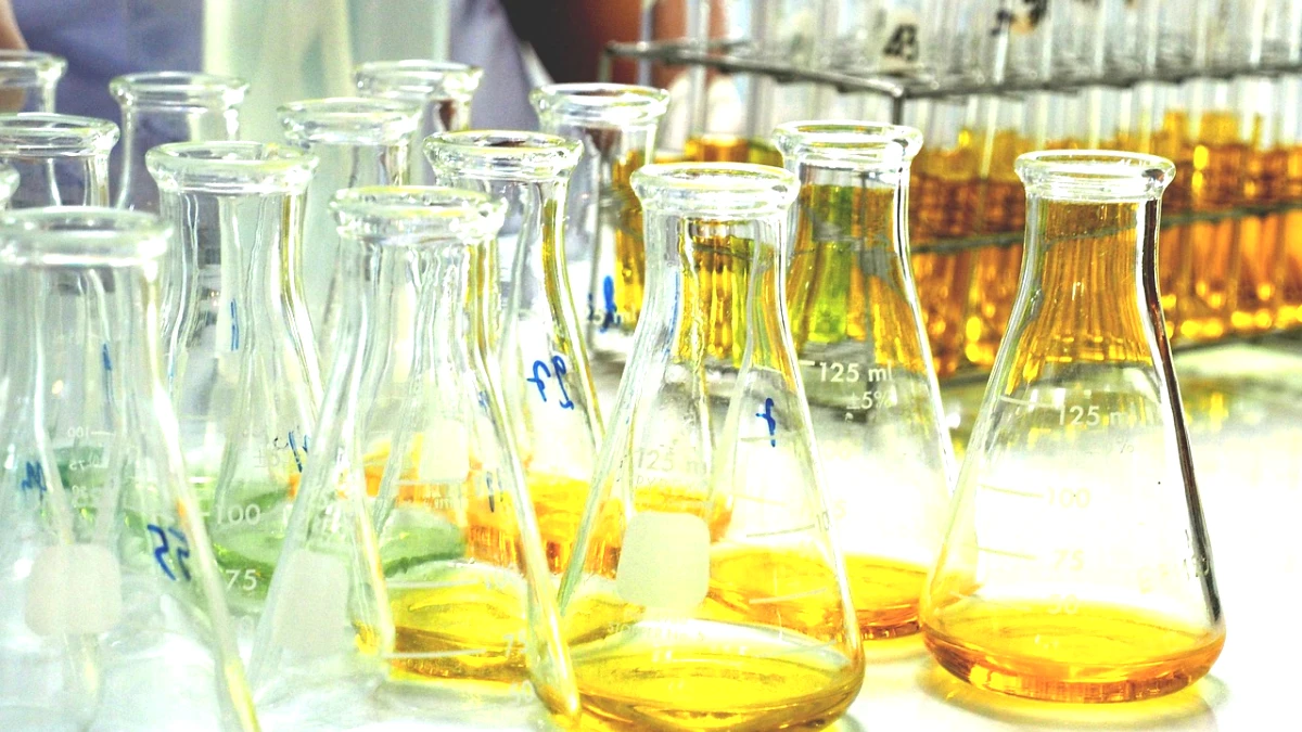 Ômega 3 Neo Química é Bom: Análise Completa do Suplemento