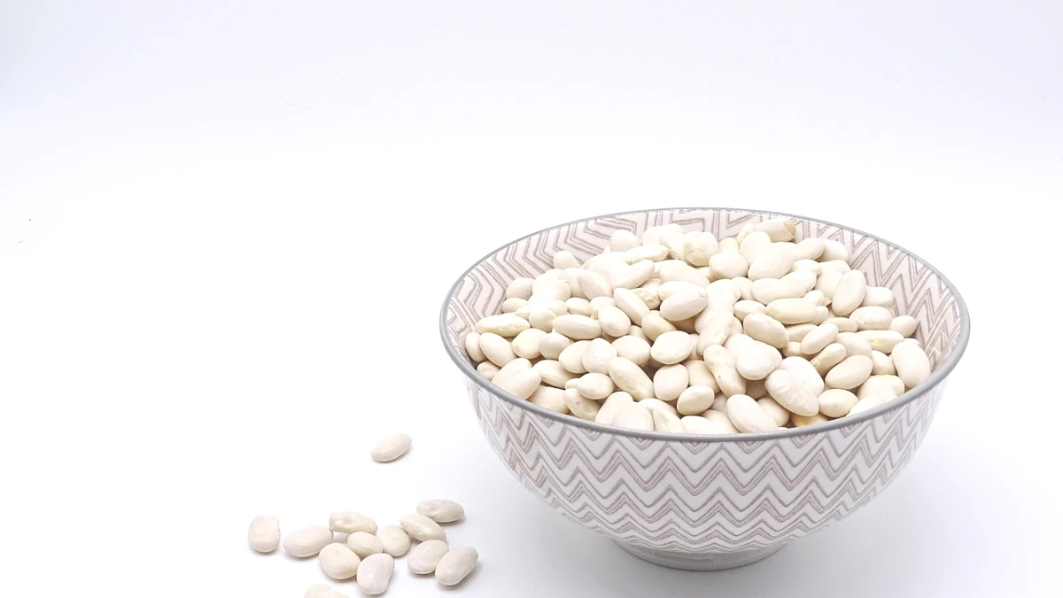 whey-parmalat-e-bom - Image 2