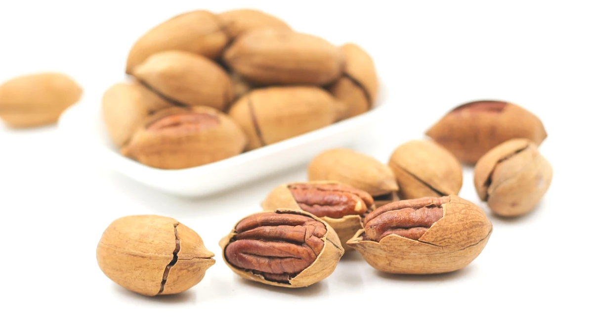 whey-parmalat-e-bom - Image 3